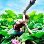 Duyên phận – Gõ cửa trái tim – Liên khúc nhạc vàng trữ tình Quang Lê, Dương Hồng Loan Hay Nhất 2017