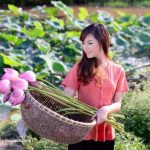 Liên Khúc Nhạc Miền Tây Nhạc Dân Ca Trữ Tình Quê Hương – Dương Hồng Loan – Sao Út Nỡ Vội Lấy Chồng
