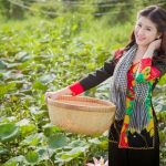 Liên khúc vó ngựa trên đồi cỏ non – Đường về hai thôn