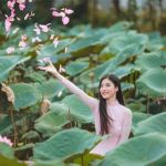 Liên khúc Nhạc Vàng Hải Ngoại Vang Bóng 1 Thời | Lưu Chí Vỹ ft Lưu Ánh Loan, Lê Như, Diễm Thùy, Quỳnh Trang