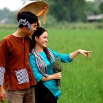 Nhạc trữ tình chọn lọc – nhiều ca sỹ