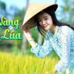 Yêu Nàng Hai Lúa – Liên Khúc Trữ Tình Miền Tây Chọn Lọc Nhạc Dân Ca Quê Hương Hay Nhất
