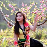 15 Ca Khúc Quê Hương Hay Nhất Dành Cho Người Xa Quê | Ai xa quê cũng muốn nghe