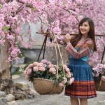 Liên khúc dân ca hay nhất 2017/ Liên khúc dân ca trữ tình tuyển chọn