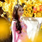 Liên khúc mùa xuân 2