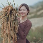 Liên khúc về quê Dương Hồng Loan, Lê Sang