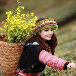 Nghe Câu Quan Họ Trên Cao Nguyên