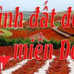 Tân cổ giao duyên – Tình đất đỏ miền Đông