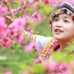 Liên Khúc: Chiều Xuân; Khúc Nhạc Mừng Xuân