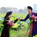 Đi cấy – Quan họ tình bạn ngọt ngào da diết