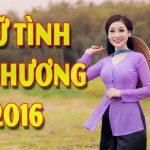 Tuyển Chọn Tân Cổ Giao Duyên, Trích Đoạn Cải Lương Xưa Hay Nhất Được Nghe Nhiều Nhất Trước 1975
