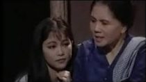Ca cổ Mẹ dạy con NSUT Út Bạch Lan, Hương Thủy – Vọng cổ hay nhất về mẹ
