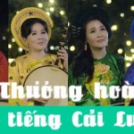 Cải lương Thanh Ngân Thương hoài hai tiếng cải lương