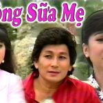 Tuyển tập cải lương xã hội hay nhất – Hai dòng sữa mẹ