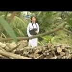 Bao La Lòng Mẹ/Tuyển tập ca vọng cổ về cha mẹ cảm động nhất của NSUT Thanh Ngân