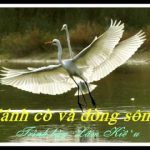 Khúc hát quê hương: Cánh cò và dòng sông