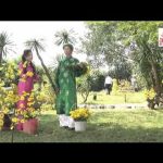 Tân cổ vui Câu chuyện đầu năm – Tuyển tập những bài hát hay về mùa xuân/ NSUT Thoại Mỹ – NSUT Hoài Linh
