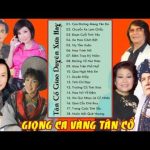 Tuyển Tập Tân Cổ Giao Duyên,Trích Đoạn Cải Lương Xưa Trước 1975 Để Đời Nhiều Danh Ca | Part 11