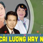 Tuyển Tập Tân Cổ Giao Duyên,Trích Đoạn Cải Lương Xưa Trước 1975 Để Đời Nhiều Danh Ca | Part 3