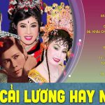 Tuyển Tập Tân Cổ Giao Duyên,Trích Đoạn Cải Lương Xưa Trước 1975 Để Đời Nhiều Danh Ca | Part 8