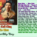 Lời cuối cùng cho nhau – Tuyển tập tân cổ giao duyên hay nhất trươc 1975 của Hùng Cường