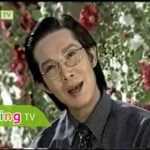 Cải lương xã hội Hai người mẹ Vũ Linh, Hương Lan