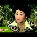 Cải lương nỗi đau người con gái – Kim Tử Long, Ngọc Huyền, Bảo Chung