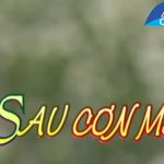 Cải lương Sau cơn mê – Châu Thanh, Lê Tứ, Mỹ Hằng