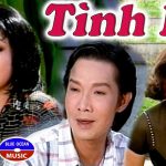 Cải lương Tình hờ – Vũ Linh, Hương Lan, Thanh Hằng