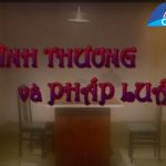 Cải lương xã hội Tình Thương Và Pháp Luật – Trọng Hữu, Thanh Thanh Tâm