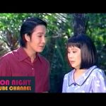Cải lương xã hội Vực thẳm cuộc đời – Vũ Linh, Tài Linh