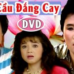 Cải Lương Qua Cầu Đắng Cay – Cải Lương Xã Hội Hài Hước Mới Hay